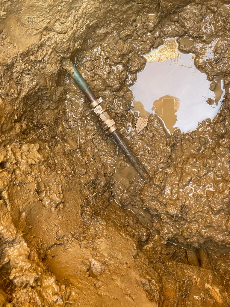 WhatsApp Image 2025-04-12 at 12.01.41 PM